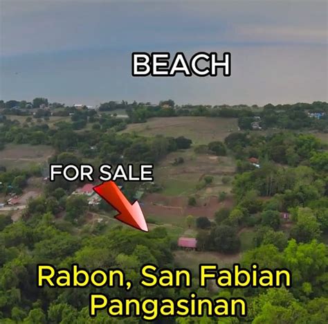 24 properties for sale in San Carlos City, Pangasinan .